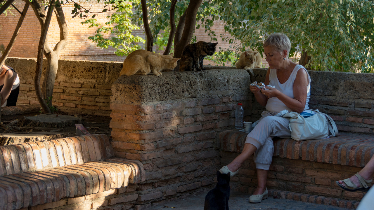20171006 182559 Alhambra Palace, Granada, Andalusia, Spain